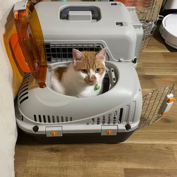 実際に使用中のキャリーケース