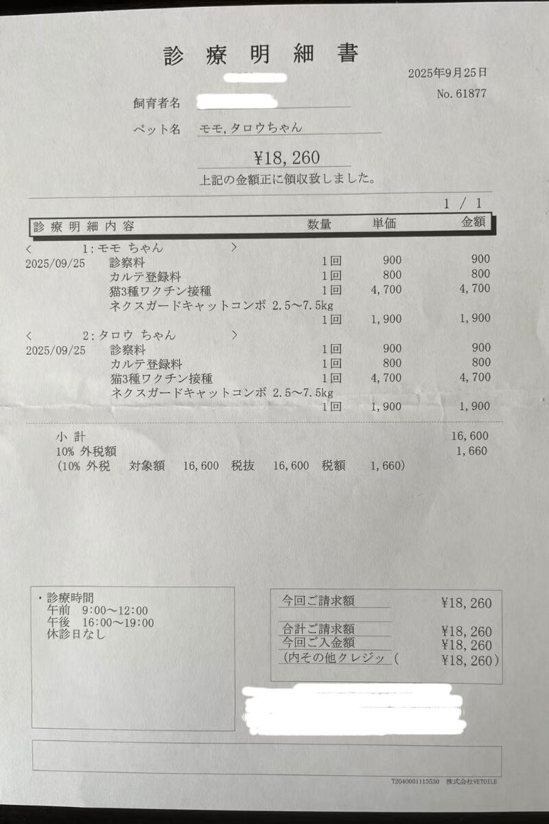 ベッド下に隠れるタロウ