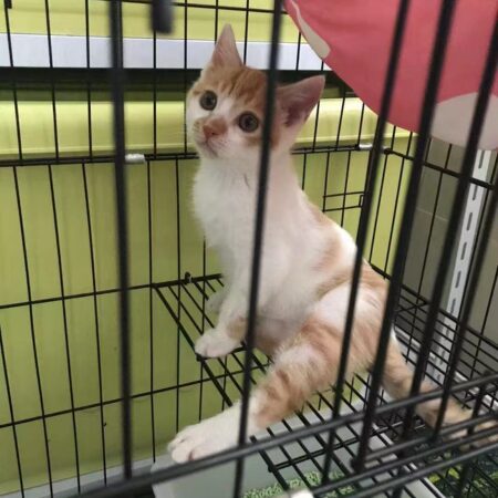 タロウ（生後3ヶ月）