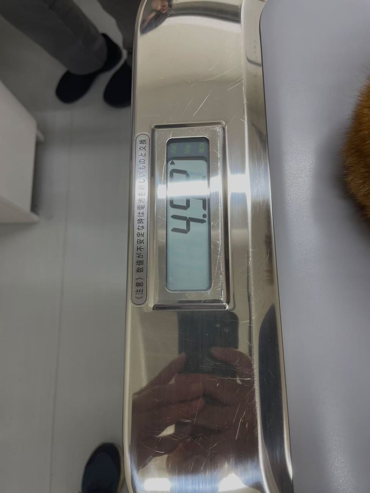 ベッド下に隠れるタロウ